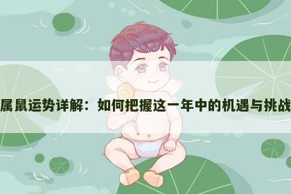 属鼠运势详解：如何把握这一年中的机遇与挑战