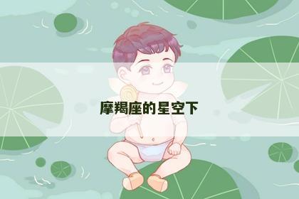 摩羯座的星空下