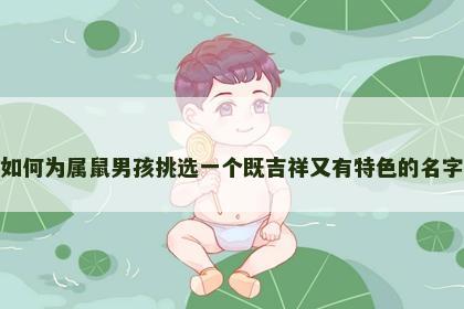 如何为属鼠男孩挑选一个既吉祥又有特色的名字