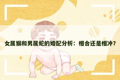 女属猴和男属蛇的婚配分析：相合还是相冲？