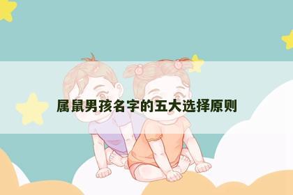 属鼠男孩名字的五大选择原则
