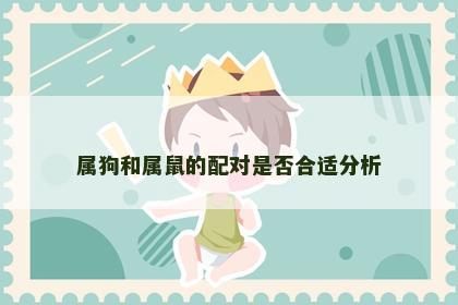 属狗和属鼠的配对是否合适分析