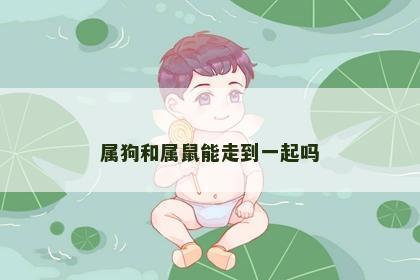属狗和属鼠能走到一起吗