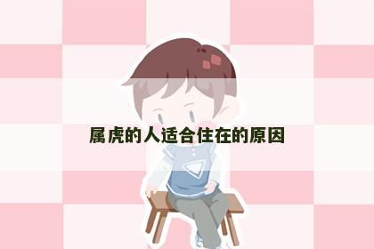 属虎的人适合住在的原因