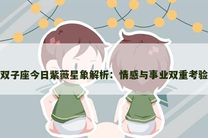 双子座今日紫薇星象解析：情感与事业双重考验