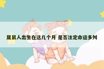属鼠人出生在这几个月 是否注定命运多舛
