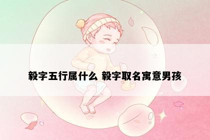 毅字五行属什么 毅字取名寓意男孩