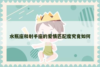 水瓶座和射手座的爱情匹配度究竟如何