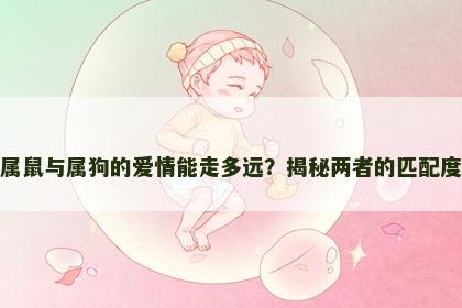 属鼠与属狗的爱情能走多远？揭秘两者的匹配度