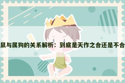 属鼠与属狗的关系解析：到底是天作之合还是不合适