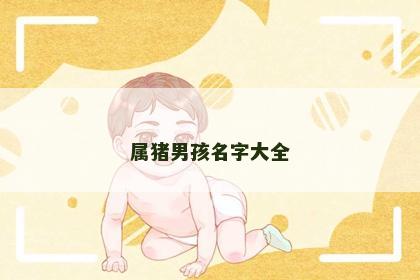 属猪男孩名字大全
