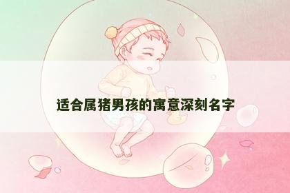 适合属猪男孩的寓意深刻名字
