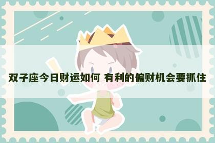 双子座今日财运如何 有利的偏财机会要抓住