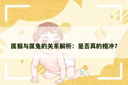 属猴与属兔的关系解析：是否真的相冲？
