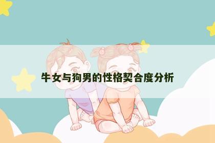 牛女与狗男的性格契合度分析