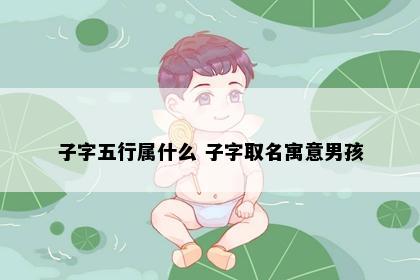 子字五行属什么 子字取名寓意男孩