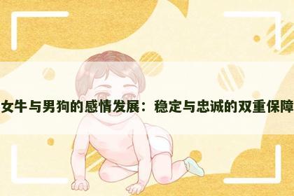 女牛与男狗的感情发展：稳定与忠诚的双重保障