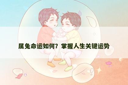 属兔命运如何？掌握人生关键运势