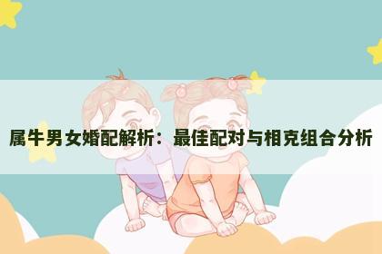 属牛男女婚配解析：最佳配对与相克组合分析