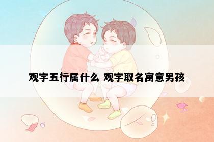 观字五行属什么 观字取名寓意男孩