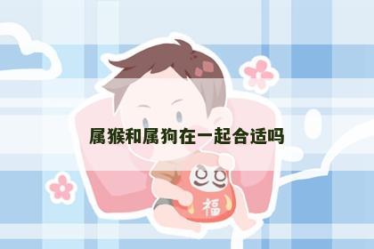 属猴和属狗在一起合适吗