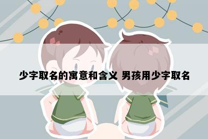 少字取名的寓意和含义 男孩用少字取名