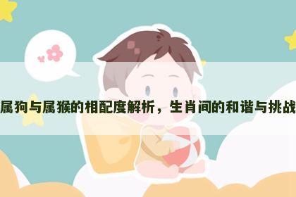 属狗与属猴的相配度解析，生肖间的和谐与挑战