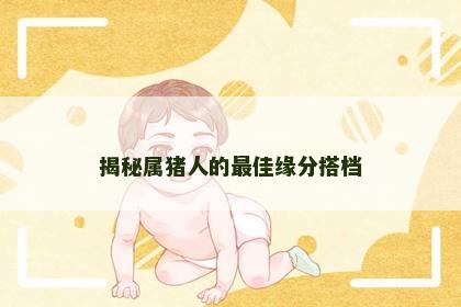 揭秘属猪人的最佳缘分搭档