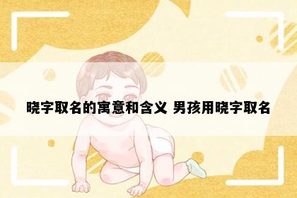 晓字取名的寓意和含义 男孩用晓字取名
