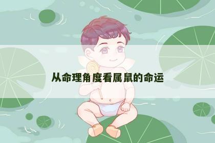 从命理角度看属鼠的命运