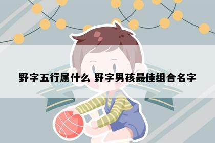 野字五行属什么 野字男孩最佳组合名字