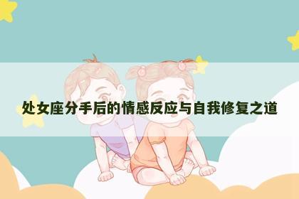 处女座分手后的情感反应与自我修复之道