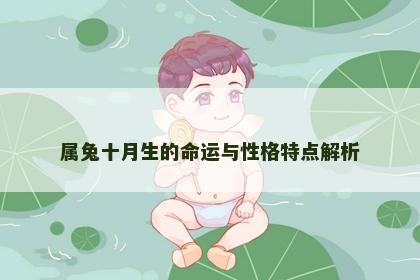 属兔十月生的命运与性格特点解析