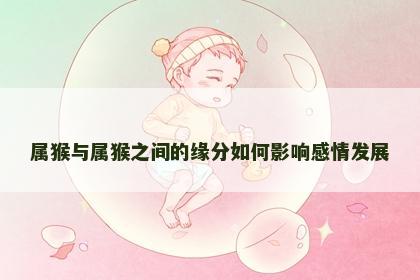 属猴与属猴之间的缘分如何影响感情发展