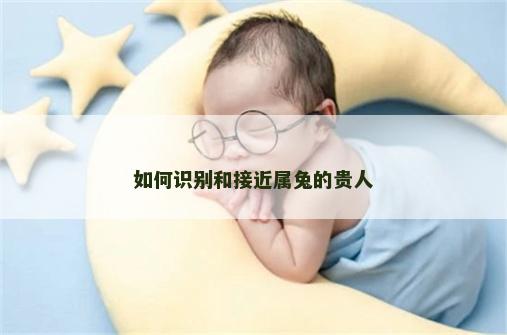 如何识别和接近属兔的贵人