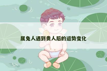 属兔人遇到贵人后的运势变化