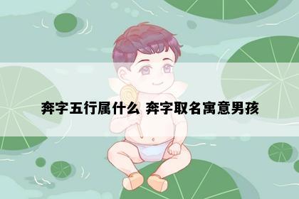 奔字五行属什么 奔字取名寓意男孩