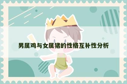 男属鸡与女属猪的性格互补性分析