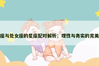 摩羯座与处女座的星座配对解析：理性与务实的完美结合