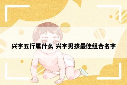 兴字五行属什么 兴字男孩最佳组合名字