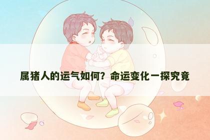 属猪人的运气如何？命运变化一探究竟