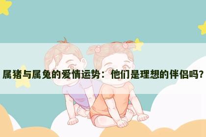 属猪与属兔的爱情运势：他们是理想的伴侣吗？