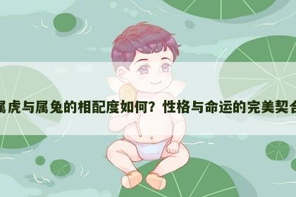 属虎与属兔的相配度如何？性格与命运的完美契合
