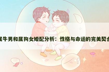 属牛男和属狗女婚配分析：性格与命运的完美契合