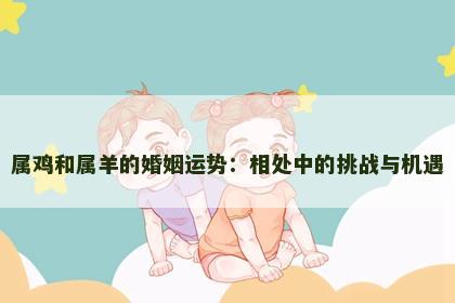 属鸡和属羊的婚姻运势：相处中的挑战与机遇