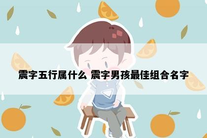 震字五行属什么 震字男孩最佳组合名字