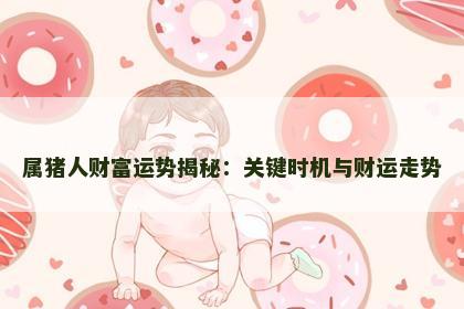 属猪人财富运势揭秘：关键时机与财运走势