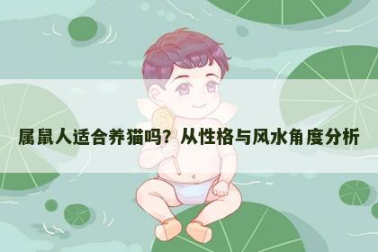 属鼠人适合养猫吗？从性格与风水角度分析