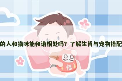 属鼠的人和猫咪能和谐相处吗？了解生肖与宠物搭配秘诀