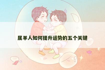 属羊人如何提升运势的五个关键